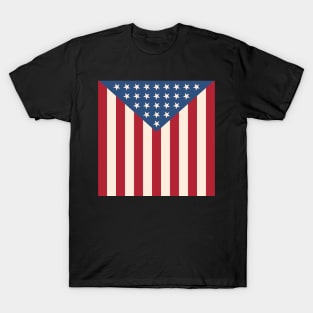 Draped in stars and stripes T-Shirt